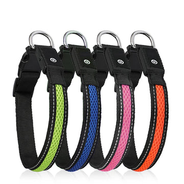 PawHub Luminous Pet Collar