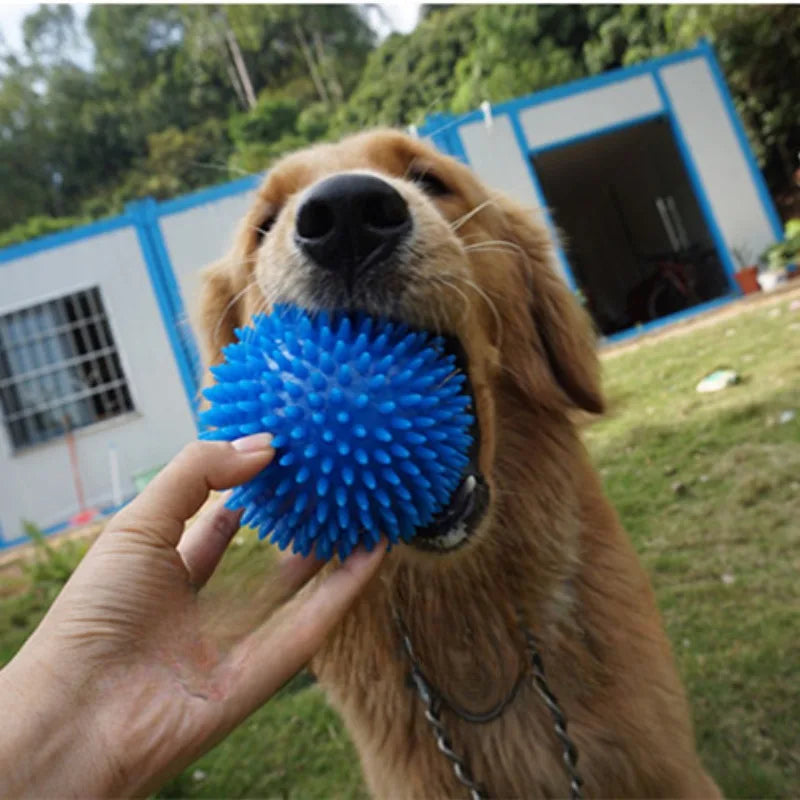 40511330680945|40511330713713