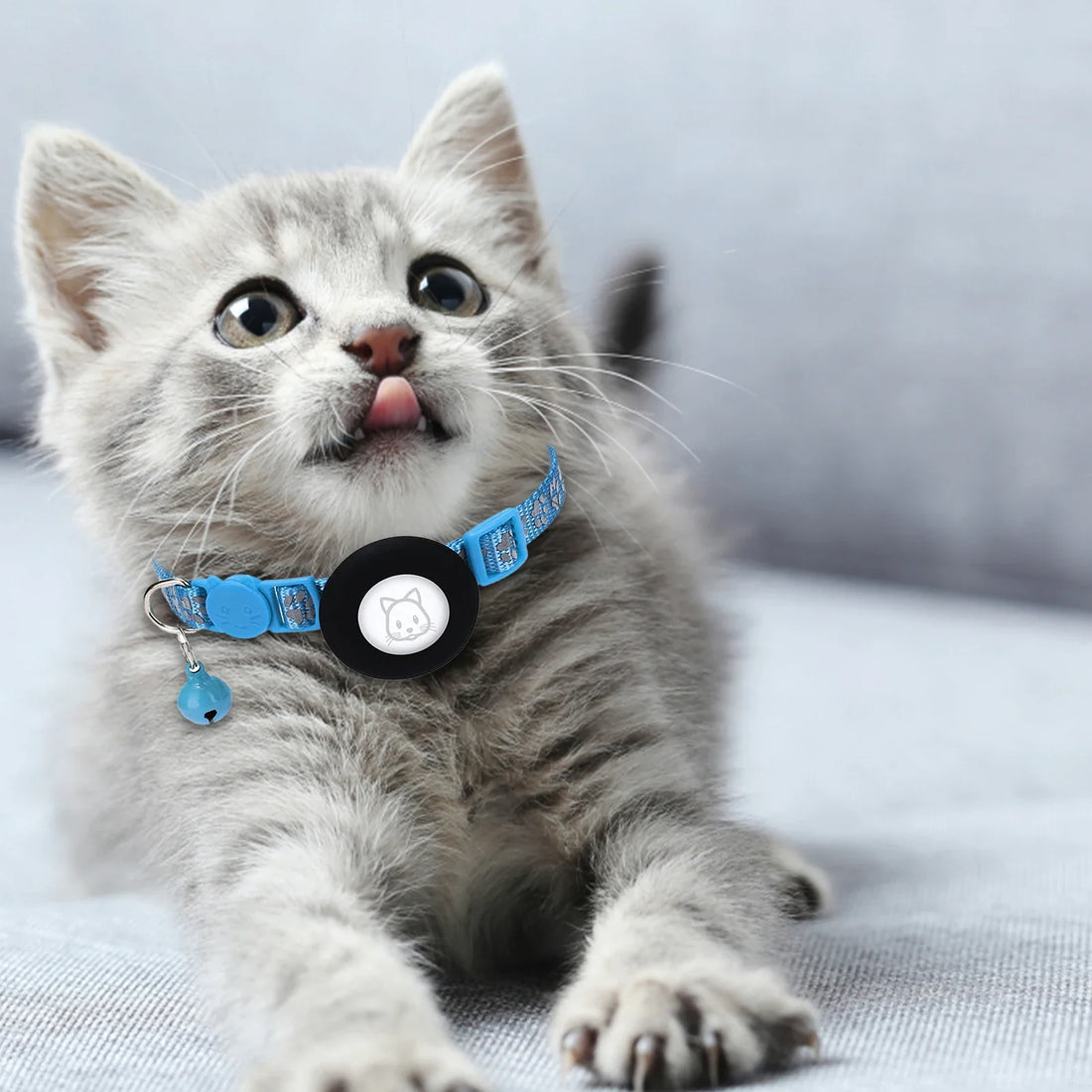 PawHub Apple Airtag Pet Collar