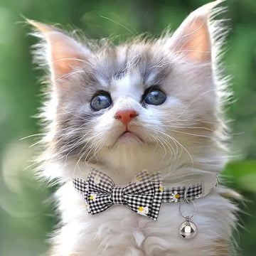 PawHub Adjustable Pet Collar with Bells